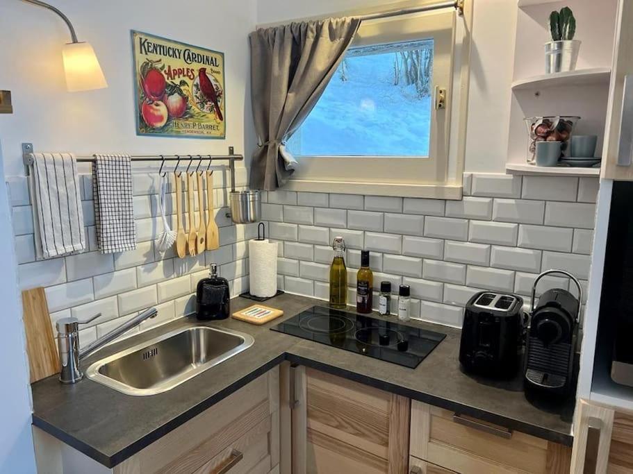 Studio Cosy Et Fonctionnel Entre Saule Et Lilas Виллар-де-Ланс Экстерьер фото
