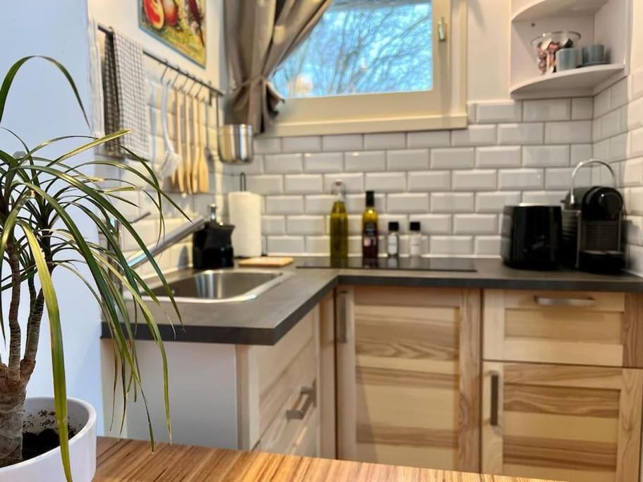 Studio Cosy Et Fonctionnel Entre Saule Et Lilas Виллар-де-Ланс Экстерьер фото